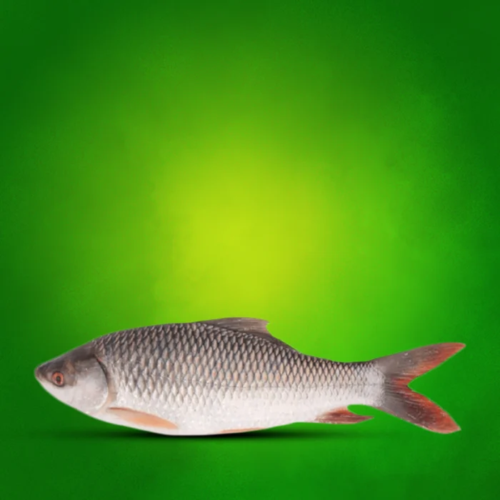 Rohu Fish 1kg - Image 1