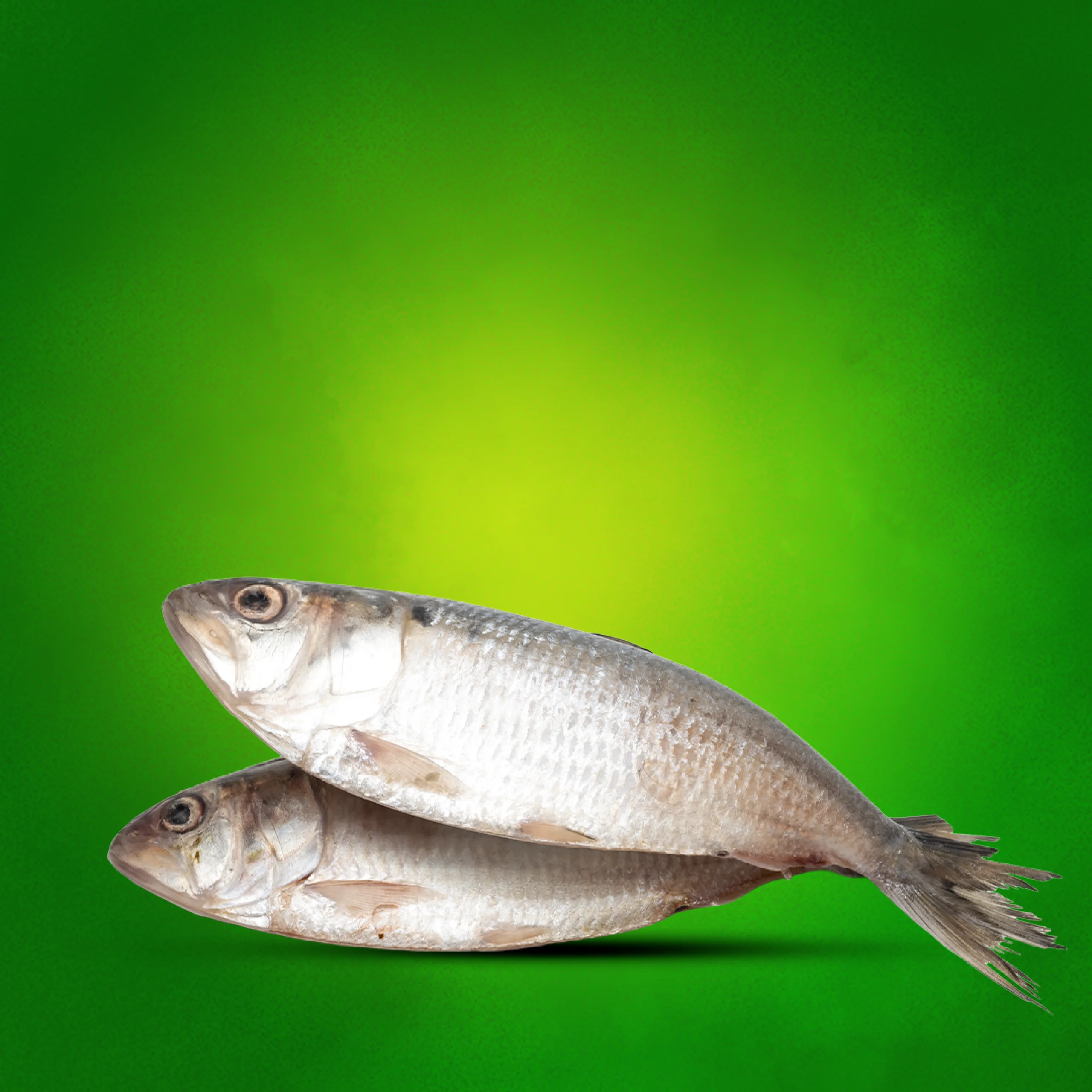 RB Image-19 Hilsa Fish 1kg - Image 1